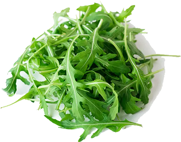  Celery Transparent Png Image Arugula Celery Png