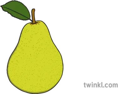  Pear Illustration Twinkl Cempedak Png Pear Png