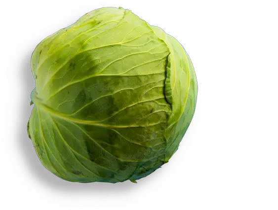  Noce Iceburg Lettuce Png Cabbage Transparent