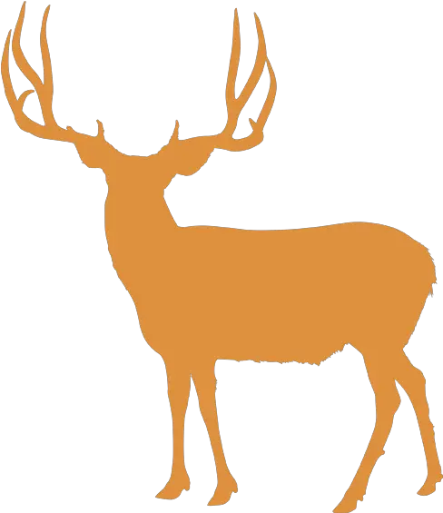  Elk White Tailed Deer Reindeer Utah Deer Antler Png Silhouette Deer Hooves Clipart Deer Antler Png