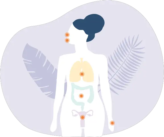  Duolac Worldwide What Is Microbiome For Women Png Full Stomach Icon