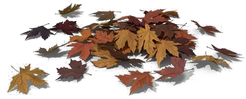  Leaves Download Transparent Png Image Arts Pile Of Leaves Png Leaves Transparent Png