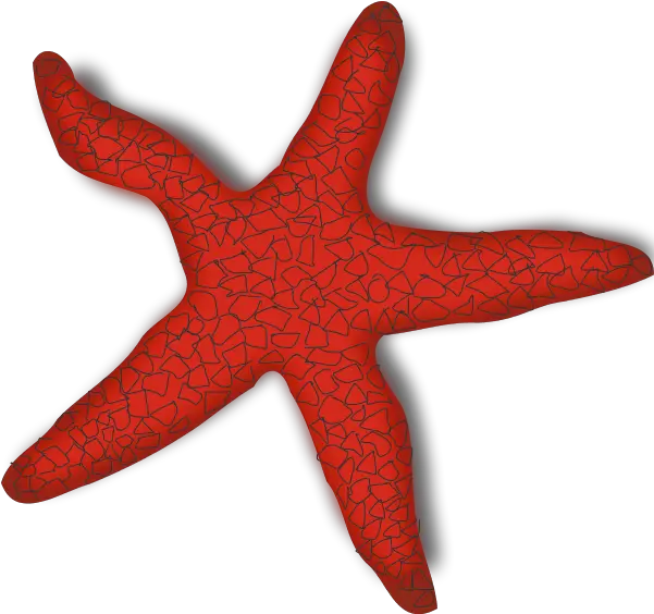  Free Download Png Starfish Images Clip Art Sea Star Star Fish Png