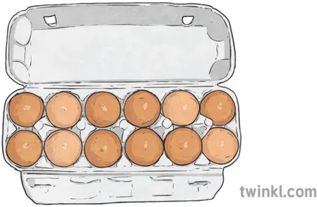  Box Of 12 Eggs Illustration Twinkl Cylinder Png Eggs Png