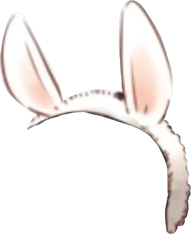  Bunnyears Ears Headband Bunny Band Macro Photography Png Bunny Ears Transparent