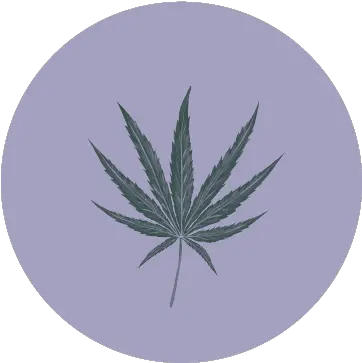  Freakshow Humboldt Seed Company Language Png Marijuana Bud Icon