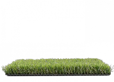  Download Hedge Png Image With No Lawn Hedge Png