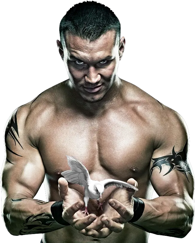  Randy Orton Free Png Photo Images Randy Orton No Mercy Randy Orton Png