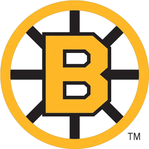  Download Shoulder Patch Boston Bruins 90s Jersey Full Moving Optical Illusions Gif Png 90s Png