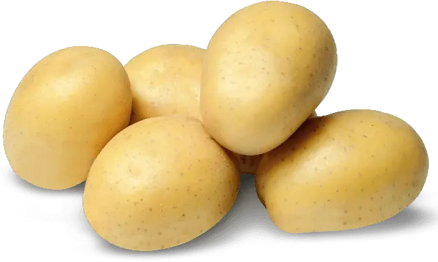  Contact Us Zuckerman Family Farms Yukon Gold Potato Png Potato Png Transparent