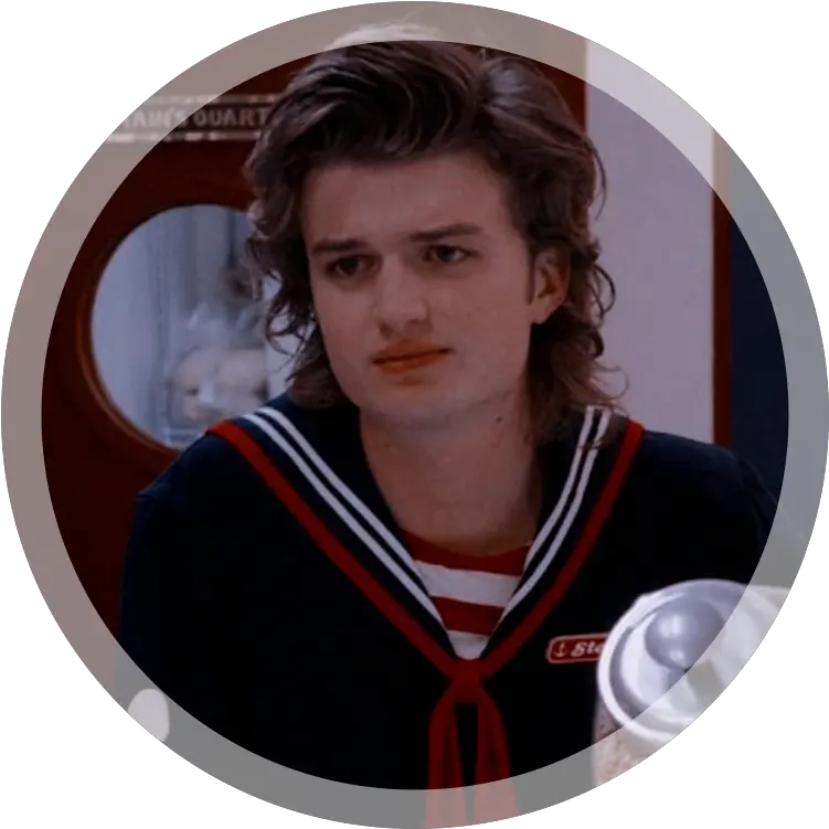  Steve Harrington Tumblr Icons De Steve De Stranger Things Png Tumblr Reblog Icon