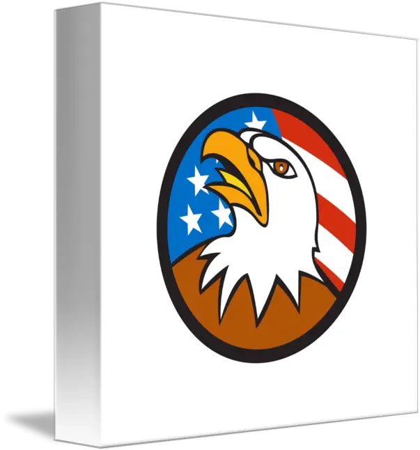  American Bald Eagle Head Looking Up Bald Eagle Png Eagle Head Logo