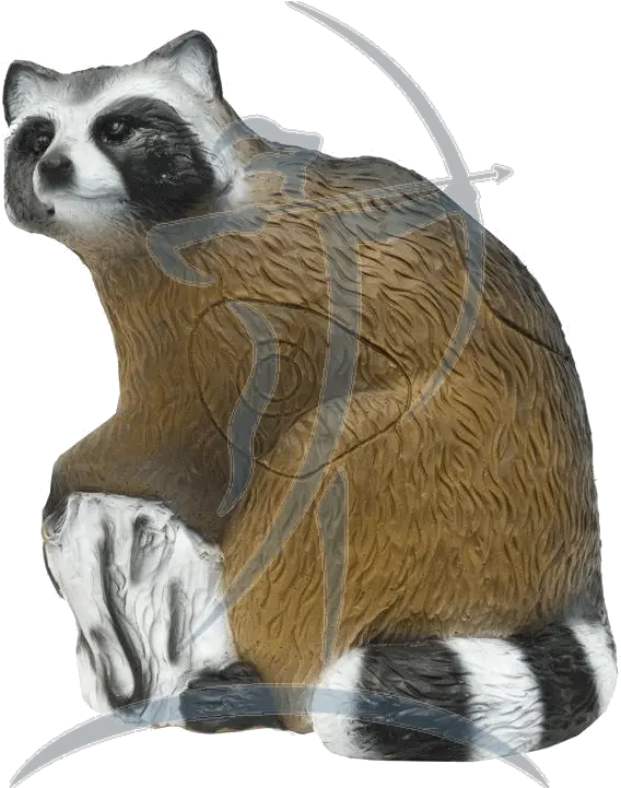  Raccoon Transparent Png Image Waschbär 3d Target Raccoon Transparent