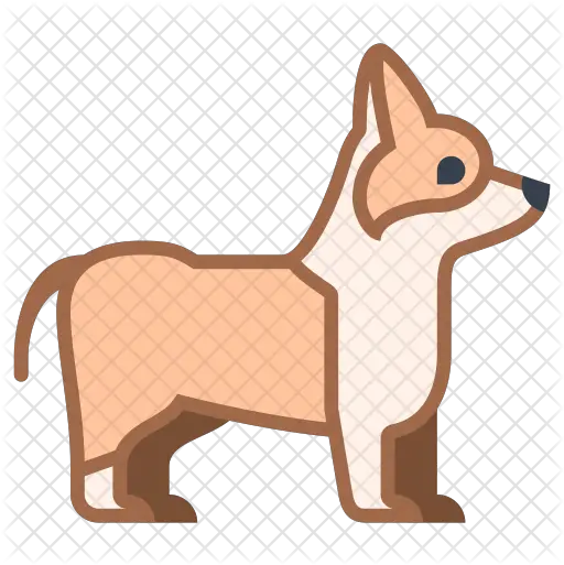  Corgi Icon Signs Of Dementia In Dogs Png Corgi Png