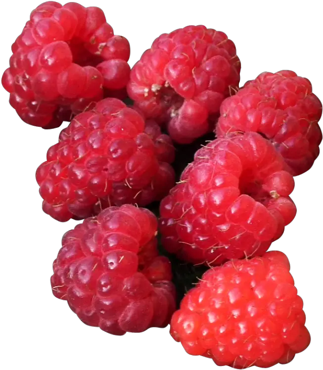  Raspberry Png Image Aesthetic Raspberry Png Raspberry Png