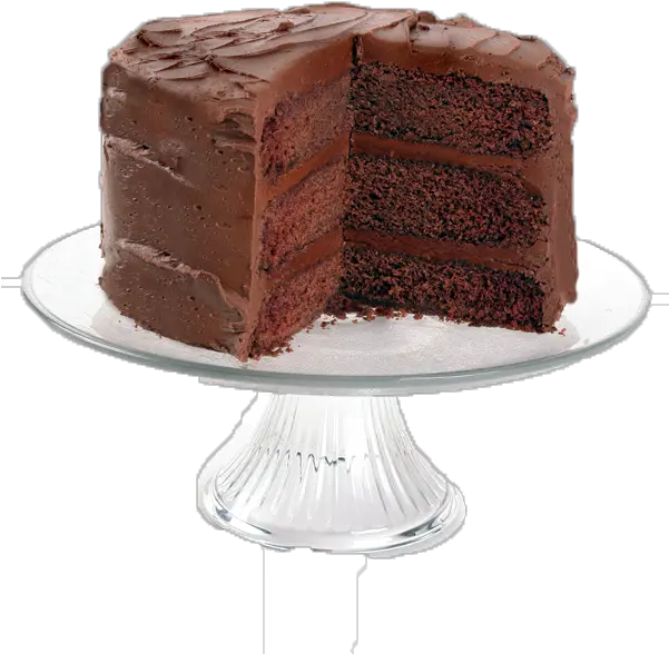  Need Some Chocolate Cake Vegan Chocolate Cake Png Chocolate Cake Png