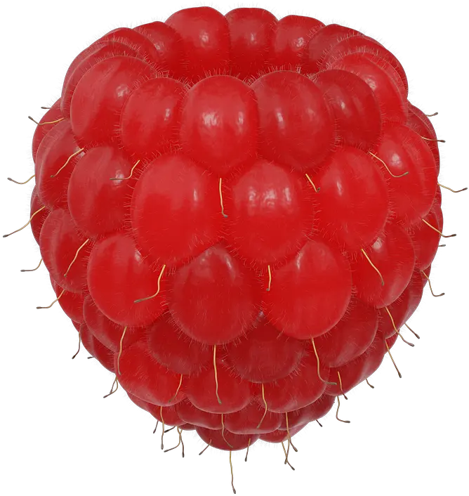  Large 3d Isolated Fruit Berry Raspberry Bringebær Frø Png Berry Png