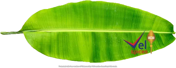  Banana Leaves Pcs Banana Leaves Png Banana Leaves Png