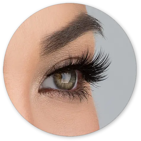  Lashes Allura Lite Lashes Png Lashes Png