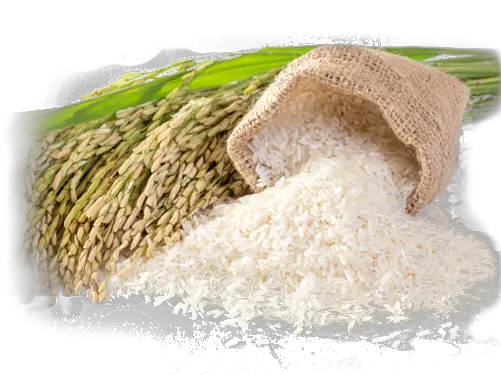  Buy Organic Rice Online Organic Rice Png Rice Png