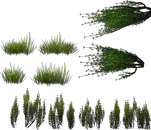  Mountain Lake Vegetation Sprite Png Grass Texture Png