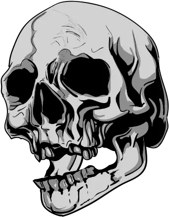  Scars Of Bourbon Skulls Cartoon Png Scars Png