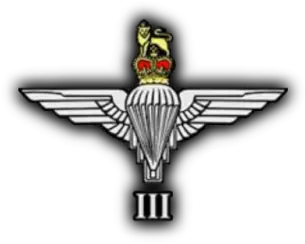  3rd Parachute Regiment Arma 3 Png 2 Icon