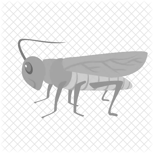  Grasshopper Icon Of Flat Style Grasshoper Icon Png Grasshopper Png