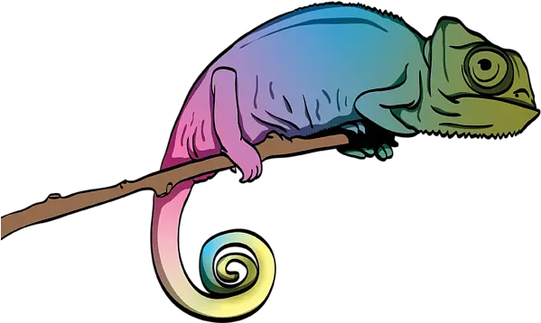  Chameleon Beach Towel Chameleon Drawing Png Chameleon Png