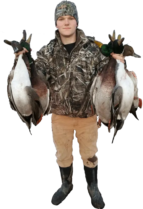  Duck Hunting Guides In Minnesota Canada Goose Png Duck Hunt Png