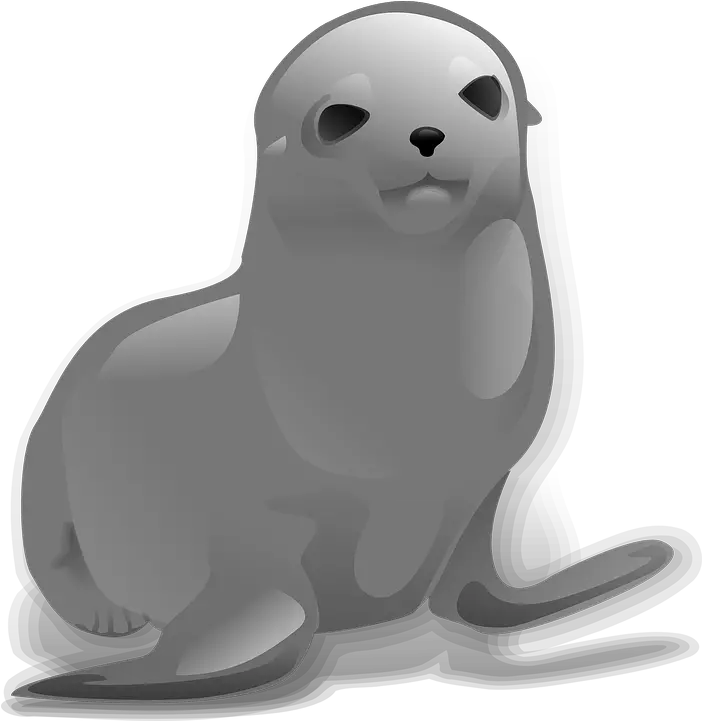  Download Seal Animal Png Seal Clip Art Animal Clipart Png