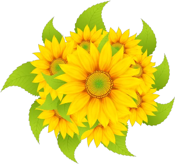  Sunflowers Decoration Clipart Png Image Bordado De Coruja Clip Art Sunflower Emoji Transparent