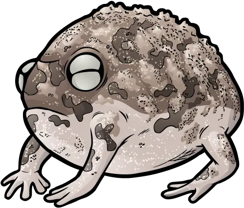  Zoo Wild Desert Rain Frog No Background Png Frog Transparent Background