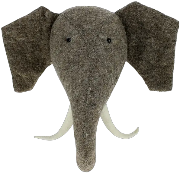  Elephant Head With Tusks Fiona Walker England Png Elephant Head Png