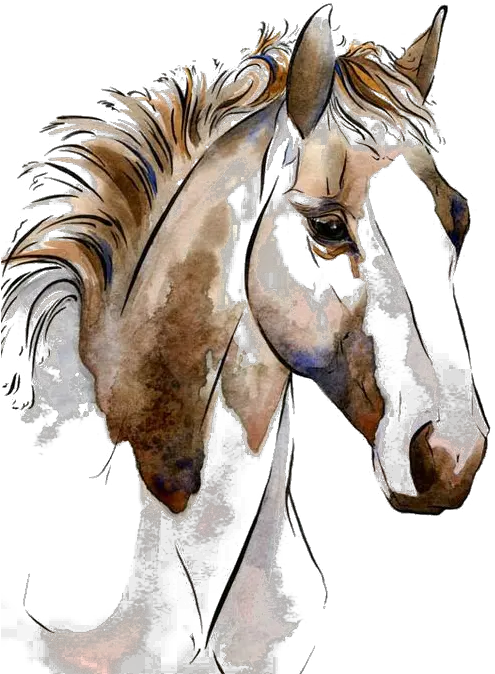  Horse Artwork Watercolor Horse Art Png Art Png