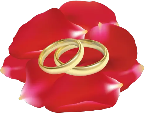  Wedding Rings In Rose Petals Png Clip Wedding Rings In Rose Flower Rose Petals Transparent