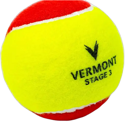  Training Requirements Gleason Tennis Net Sports Png Tennis Ball Png