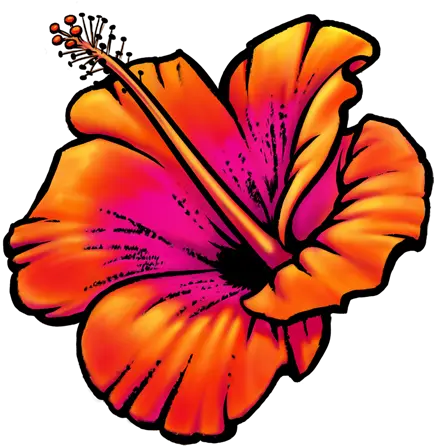  Sarah Burchard Png Hawaii Flower Icon