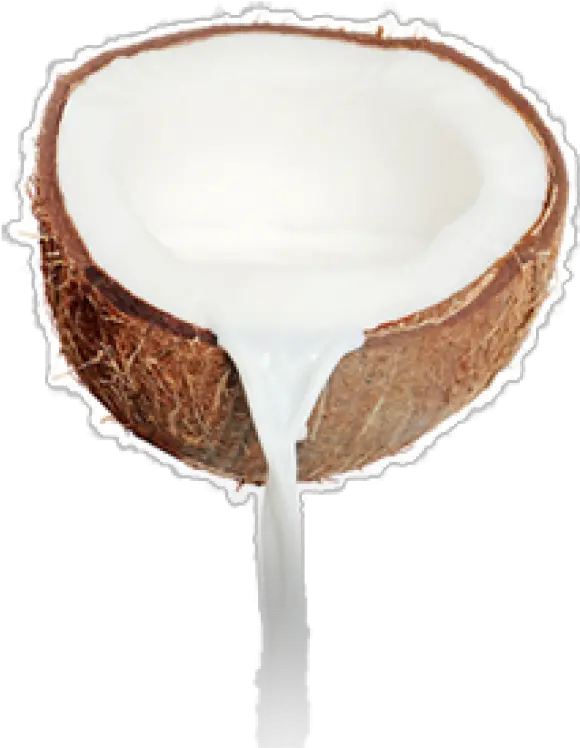  Coconut Png Free Download 20 Coconut Milk Png Coconut Png