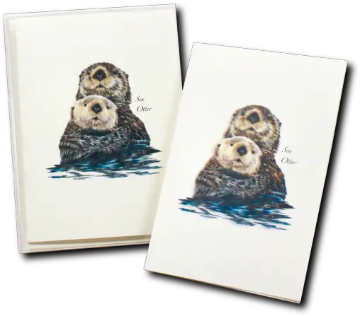  Sea Otter Ii Boxed Notecards Picture Frame Png Sea Otter Icon