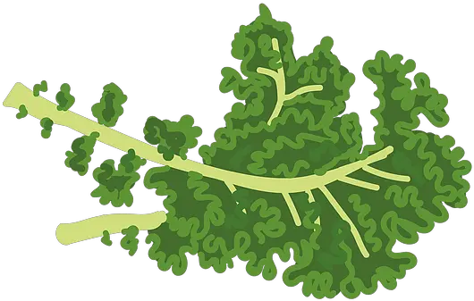  Home Thevegankids Mustard Greens Png Kale Png