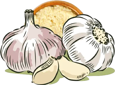  Blendz Cara Mengusir Serangga Dengan Bawang Putih Png Garlic Icon