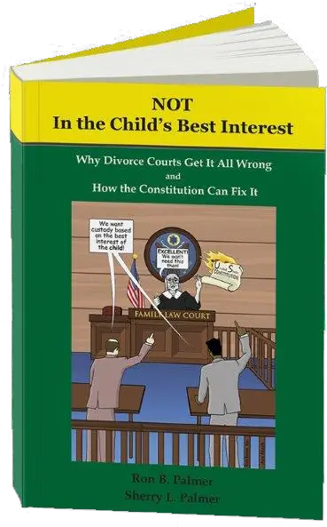  Book Notinthechildsbestinterest3dstandingopen Not In The Best How Divorce Courts Get It All Wrong And How The Constitution Can Fix It Png Open Book Transparent Background