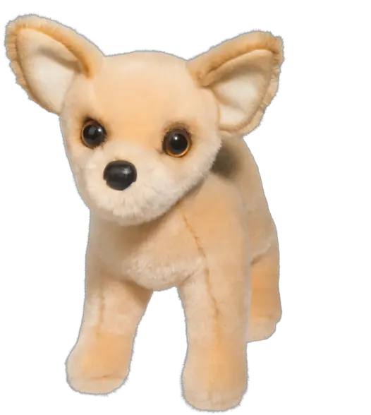  Douglas Carlos Chihuahua 10 Chihuahua Plush Png Chihuahua Png