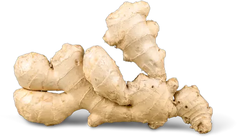  Download Ginger Png Transparent Image