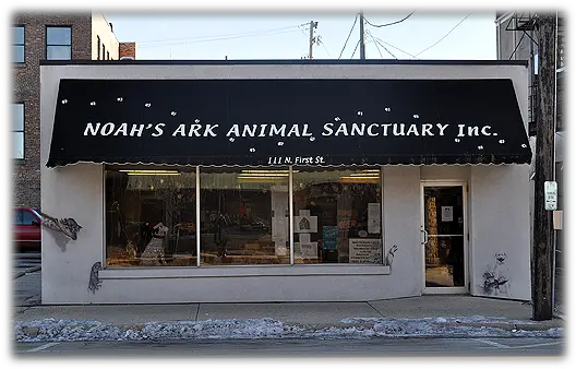  Welcome Ark Animal Sanctuary Rockford Il Png Ark Ts Icon