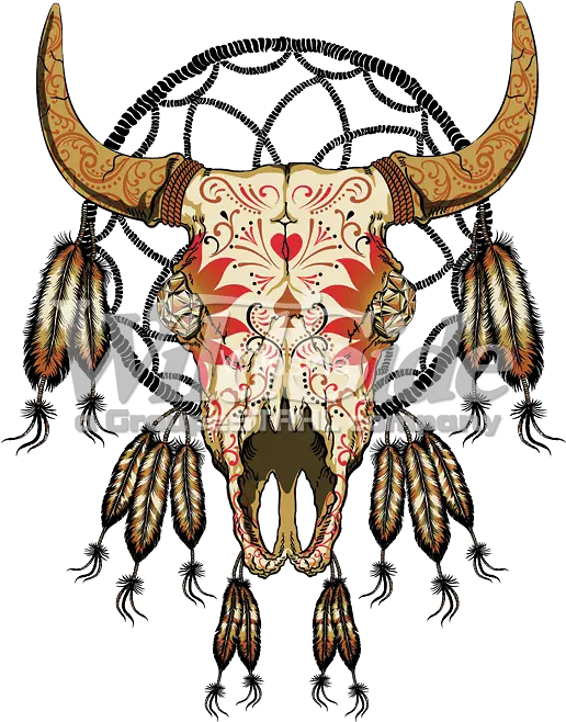  Picture Feather Native American Clipart Png Cow Skull Png