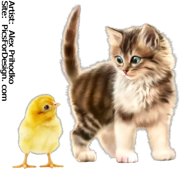  Download Hd Kitty Chick Kitten Transparent Png Image Kitten Chick Png