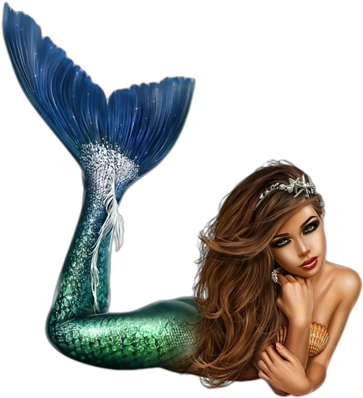  Mermaid Png Mermaid Png Mermaid Tail Transparent Background