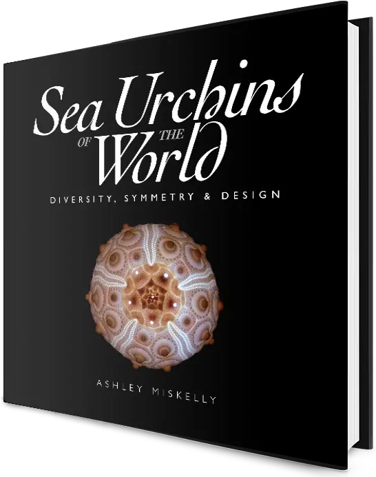  Ashley Miskelly Sea Urchins Of The World Book Cover Png Sea Urchin Png